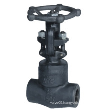 API Forged Steel Globe Valve (GLZ45X)